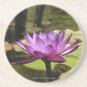 Water Lily Coaster