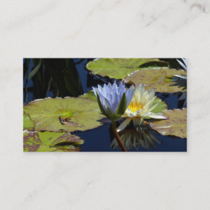 Water Lily Dance Business Card