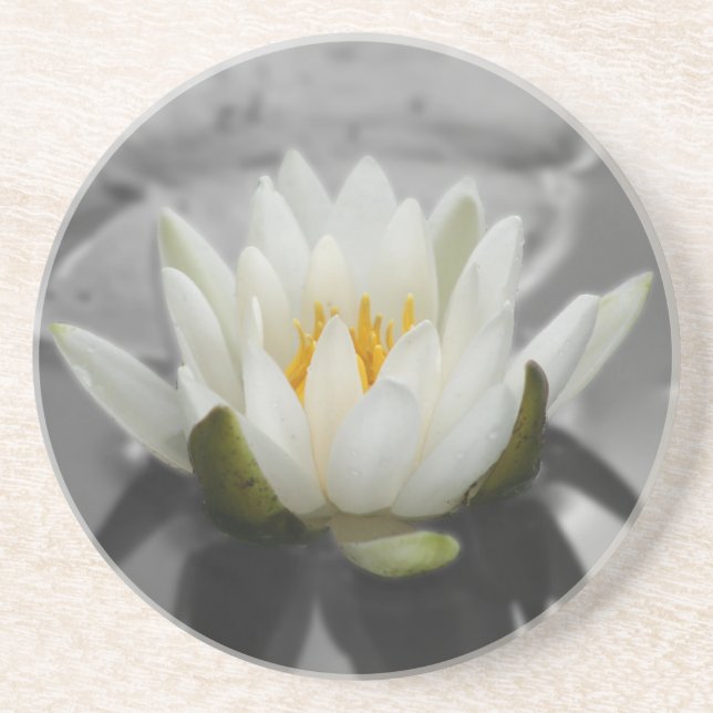 Water Lily Floral Coaster (Front)
