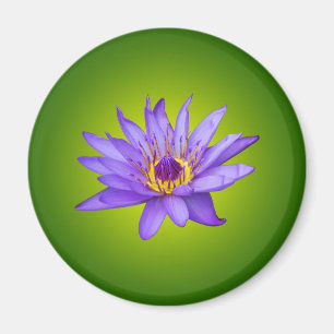 Water Lily Flower Pond Aquatic Purple Water Bloom Magnet
