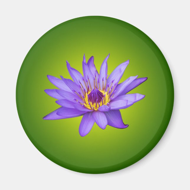 Water Lily Flower Pond Aquatic Purple Water Bloom Magnet (Front)