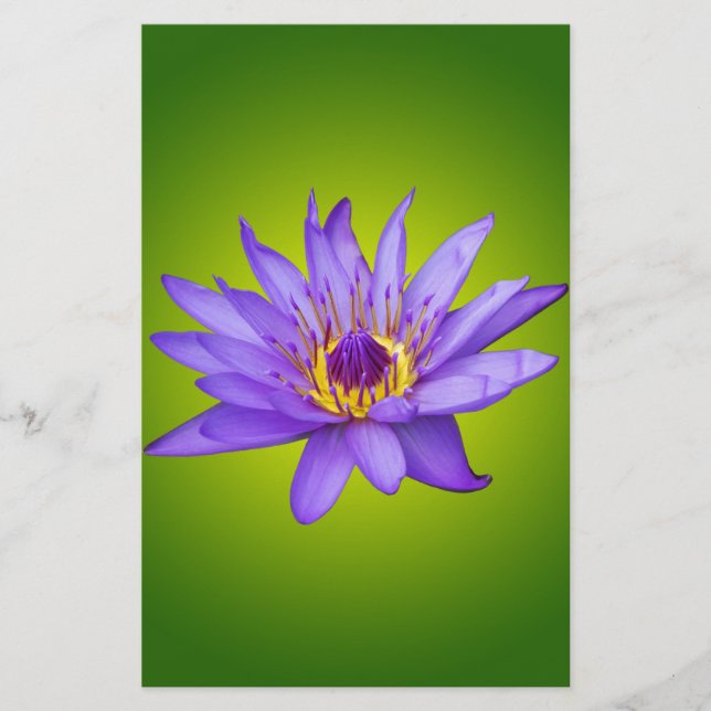 Water Lily Flower Pond Aquatic Purple Water Bloom Stationery (Front)