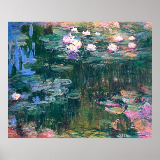 Water Lily Flower Pond Poster (Front)