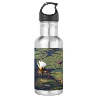 Water Lily in bloom 532 Ml Water Bottle