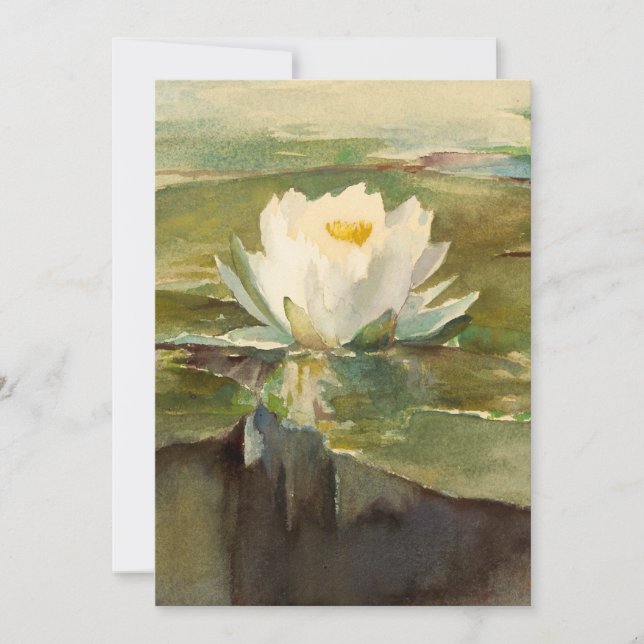 Water Lily in Sunlight | John La Farge (Front)
