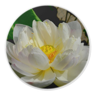 Water Lily Knob