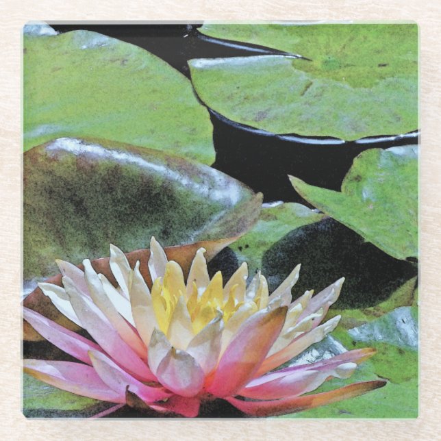 WATER LILY & LILY PADS GLASS COASTER (Front)