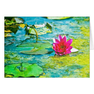 Water Lily Lilypad