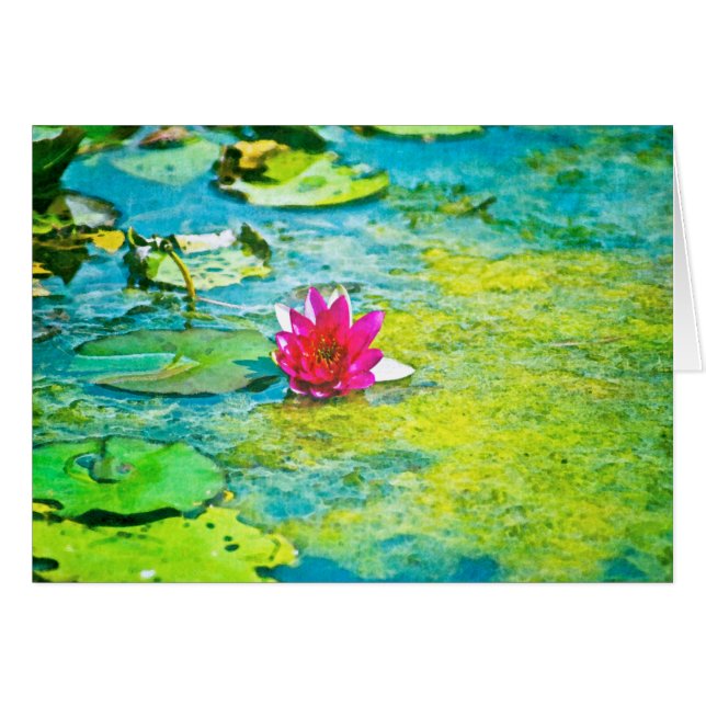 Water Lily Lilypad (Front Horizontal)