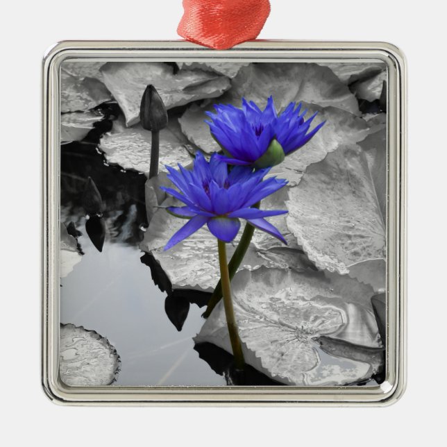 Water Lily Love Ceramic Ornament (Front)