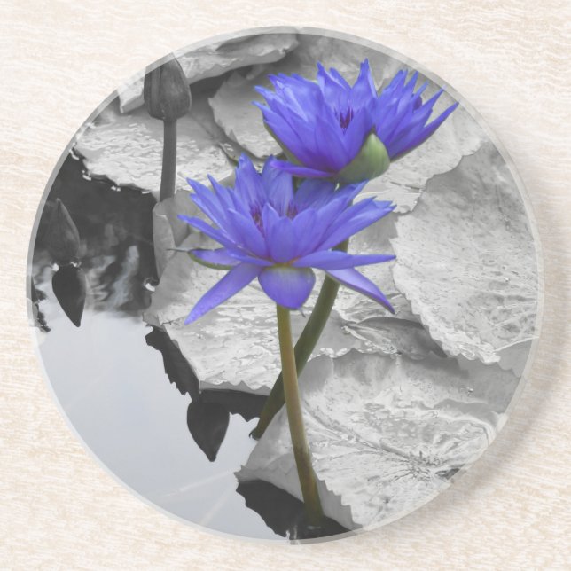 Water Lily Love Coaster (Front)