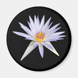 Water Lily Magnet