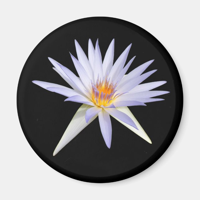 Water Lily Magnet (Front)