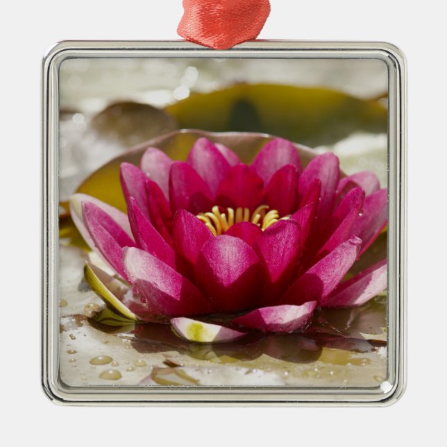 Water lily metal tree decoration (Front)