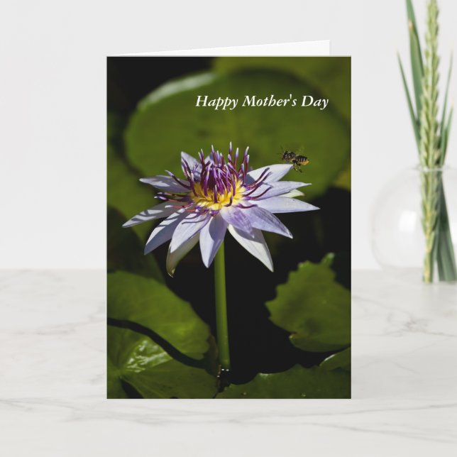 Water Lily Mother's Day Card (Front)