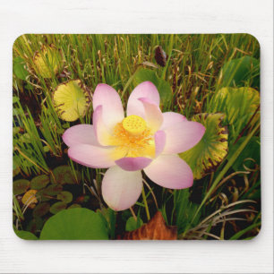 Water Lily Mouse Mat