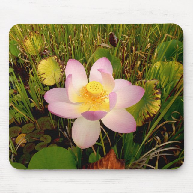 Water Lily Mouse Mat (Front)