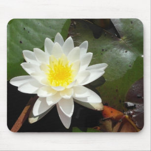 Water Lily Mouse Pad