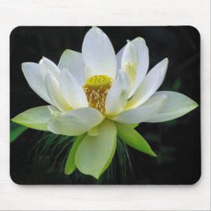 Water Lily Mousepad