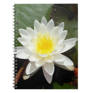 Water Lily Notebook