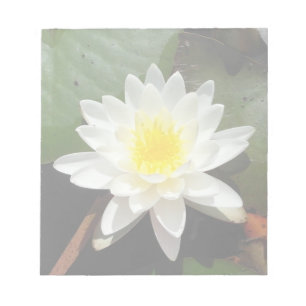 Water Lily Notepad