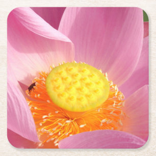 Water Lily Paper Coaster