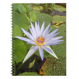 Water Lily Photo Notebook