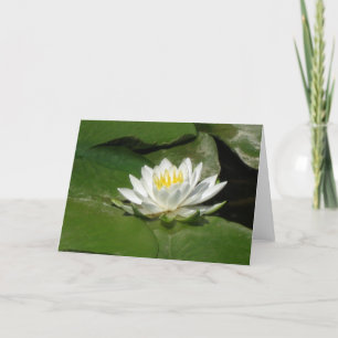 Water Lily Photograph Card