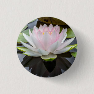 Water Lily Pink Floral Photo 3 Cm Round Badge