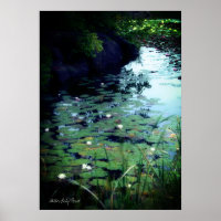 Water Lily Pond:Heavy Weight Paper Archive