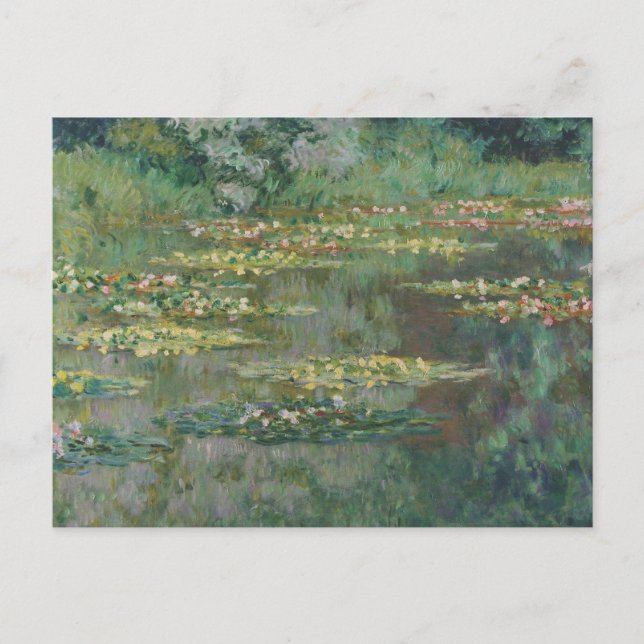Water Lily Pond Monet 1904 Postcard (Front)