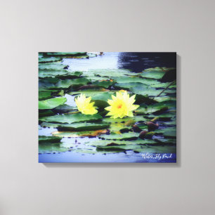 Water Lily Pond:Premium Canvas Print