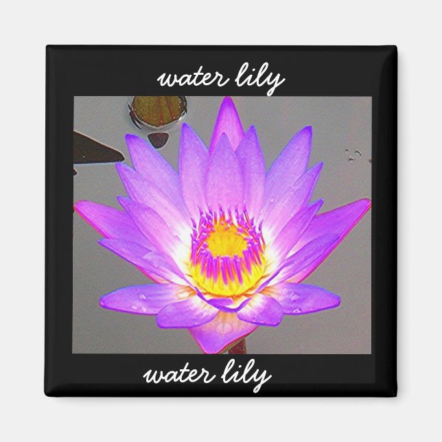 Water Lily Purple - Border Magnet (Front)