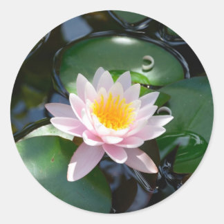 water lily round Sticker