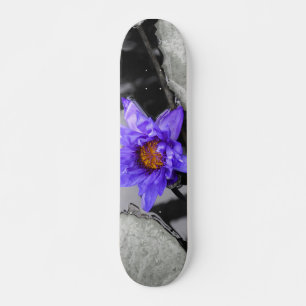 Water Lily Skateboard