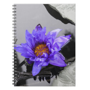 Water Lily Spiral Notebook