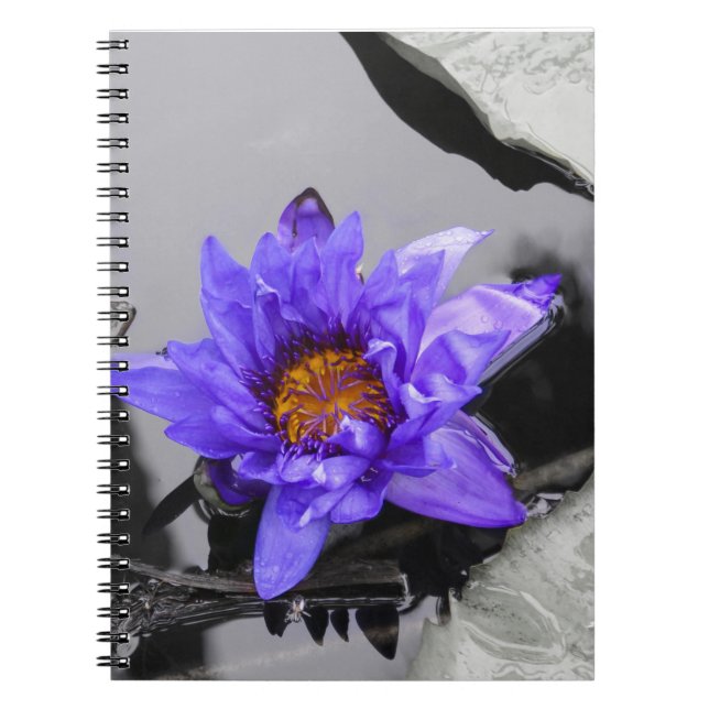 Water Lily Spiral Notebook (Front)