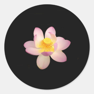 Water Lily Stickers