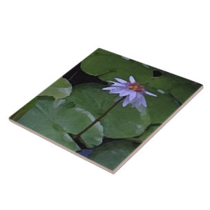 Water Lily Tile