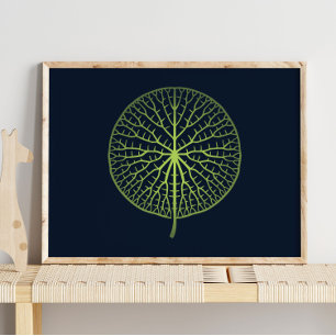 Water Lily   Wall Print for Kids Room