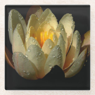 Water Lily with Dew Drops Glass Coaster