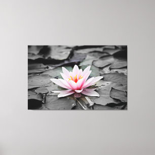 water lily wrapped canvas