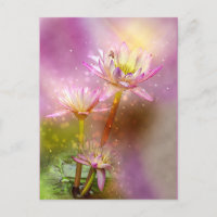 Water Lotus, exotic plant,
