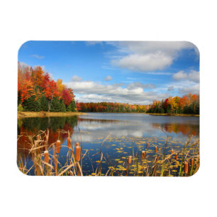 Water Mabel Lake Canada Magnet
