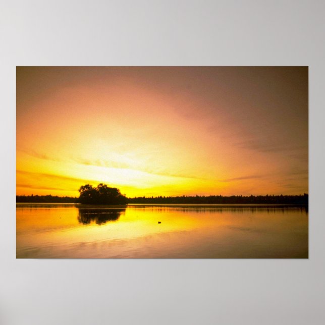 Water Mirror Poster (Front)