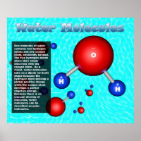 Water Molecules