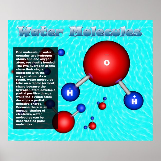 Water Molecules Poster (Front)