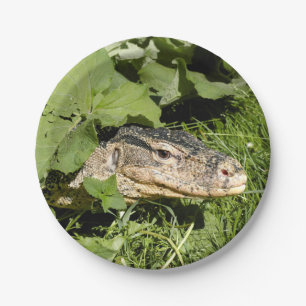 Water monitor lizard paper plate