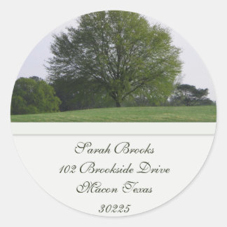 Water Oak Tree Address Label