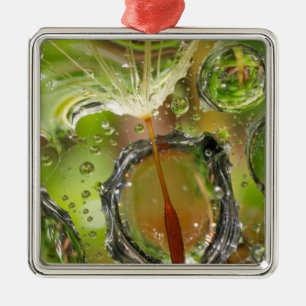 Water on dandelion seed, CA Metal Tree Decoration